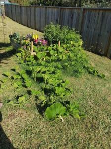 Φωτογραφία από το άλμπουμ του Relaxed Beach Retreat, mod family friendly bach σε Foxton Beach +17 φωτογραφίες