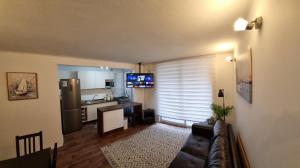 Μια τηλεόραση ή/και κέντρο ψυχαγωγίας στο Departamento en Pucon