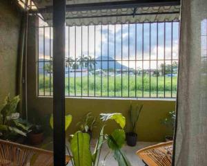 Κήπος έξω από το Mini apartamento con vista al Volcán Arenal