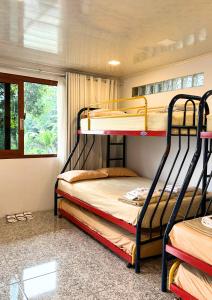 two bunk beds in a room with a window at De Pointé Resort & Resto in Campaka