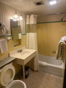 Koupelna v ubytování Starlight Inn