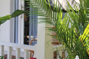 a green plant next to a white fence at New Balengku Dua Hotel in Gili Air