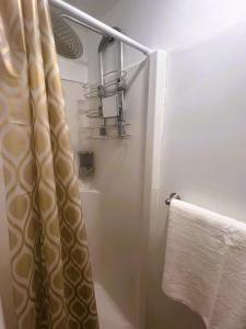 a bathroom with a shower with a shower curtain at Millpond Basement Units in Richmond Hill +28 photos