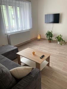 TV a/nebo společenská místnost v ubytování Apartmány Ferie