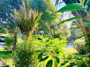 un grupo de árboles y plantas en un parque en Ball Place Residence-Enjoy the entire downstairs, en Auckland