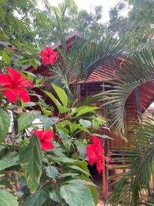 a garden with red flowers in front of a building at River Point in Pottuvil