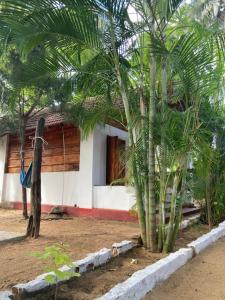 a house with a palm tree in front of it at River Point in Pottuvil +6 photos