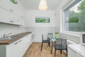 Kuchyň nebo kuchyňský kout v ubytování Apartmán Masarykova třída 61