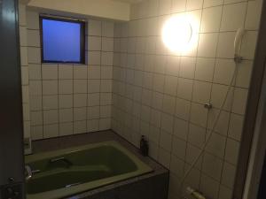 a bathroom with a green tub and a window at 大阪グランドホテル Osaka Grand Hotel in Osaka +20 photos