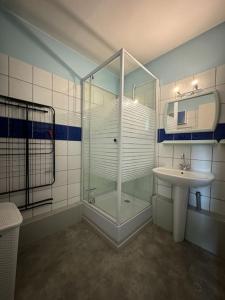 a bathroom with a glass shower and a sink at Studio cosy au cœur du Haut-jura in Foncine-le-Bas