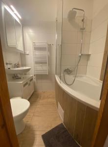 Kúpeľňa v ubytovaní Apartmány Johanka
