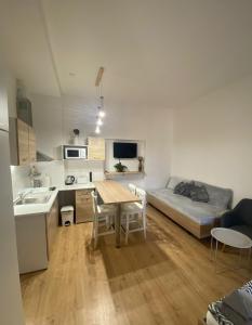 TV a/nebo společenská místnost v ubytování Apartmány Johanka + 26 fotografií