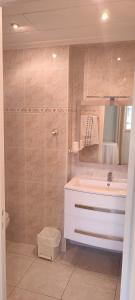 une salle de bain avec lavabo et douche dans l'établissement Chambre B&B à Font Margout - Calme - 4km de Sarlat - Petit-déjeuner, à Sarlat-la-Canéda