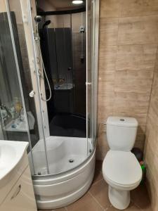 a bathroom with a shower and a toilet and a sink at Diana in Spychowo