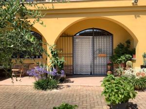 Vonkajšia záhrada v ubytovaní Mari’s House + 16 fotografií