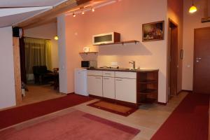 Kuchyň nebo kuchyňský kout v ubytování Hotel Green Smiltynė