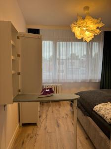 ein Zimmer mit einem Tisch, einem Bett und einem Fenster in der Unterkunft Green Harmony in Lębork