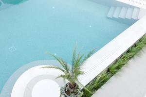 Piscina di Palm View Suites o nelle vicinanze