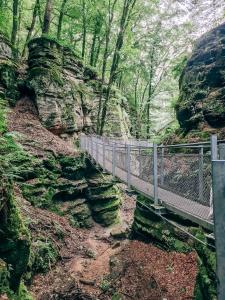 a bridge over a canyon with rocks and trees at Belle Tent - Camping Belle-Vue in Berdorf +4 photos