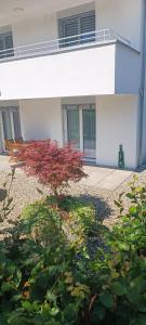 Vonkajšia záhrada v ubytovaní Cityapartment Dornbirn 50 qm