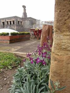 Fotografie z fotogalerie ubytování Harritarte Getaria v destinaci Getaria + 23 fotografií