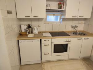 Kuchyň nebo kuchyňský kout v ubytování A4 Fani Apartmani