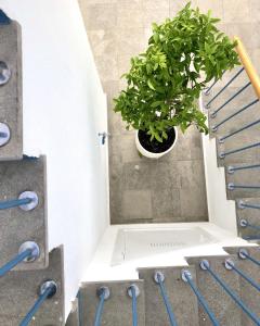 Fotografie z fotogalerie ubytování PATIOdeLUZ - Stylish apartments in Párraga 13 v destinaci Granada