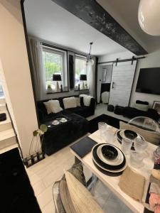 扎科帕内Willa Kwiat Paproci的客厅里有一张桌子和一张沙发