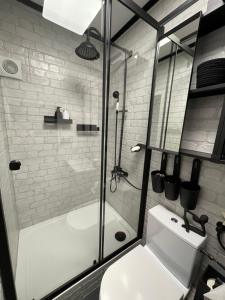 扎科帕内Willa Kwiat Paproci的带玻璃淋浴和卫生间的浴室