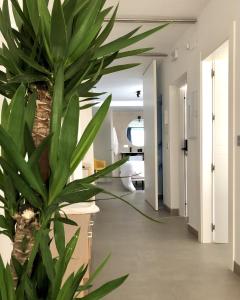 Fotografie z fotogalerie ubytování PATIOdeLUZ - Stylish apartments in Párraga 13 v destinaci Granada