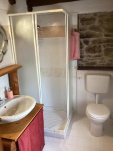a bathroom with a shower and a toilet and a sink at Casa Scarbini in Savogna