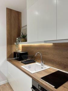 Kuchyň nebo kuchyňský kout v ubytování ABC Apartment Blloku Center