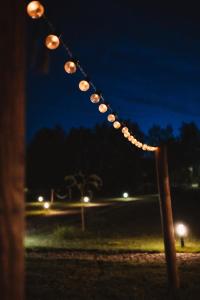 Fotografia z galérie ubytovania Pole w Dole Iława v destinácii Iława