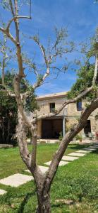 The building in which Az apartmant is located