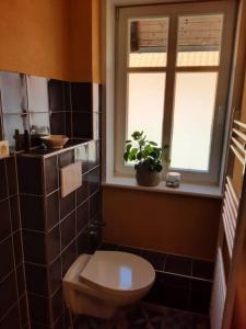 ein Bad mit einem WC, einem Fenster und einer Pflanze in der Unterkunft Gäste- und Monteurwohnung alte Gärtnerei in Kalefeld
