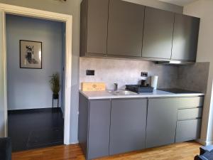 a kitchen with a sink and a counter top at Apartment Vidak in Labin