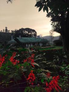 a house with red flowers in front of it at Gartmore Estate Bungalow in Maskeliya