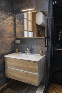 un baño con lavabo y espejo en Coin de nature en centre-ville, en Troyes