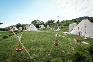 Сад в Smart glamp
