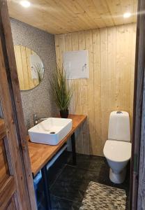 a bathroom with a sink and a toilet at Peremehe saunamaja in Kauda