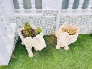Zahrada ubytování Townhouse Dreamhills Los Altos
