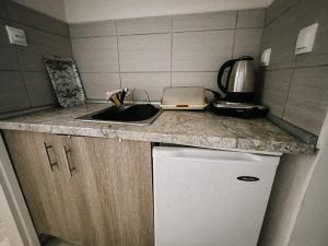Kuchyň nebo kuchyňský kout v ubytování Aktaion Hotel