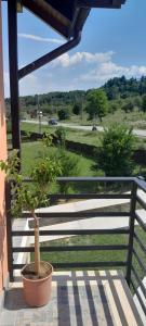 Gallery image of Pensiunea Heaven Horezu in Tomşani