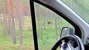 Příroda nedaleko apartmánu