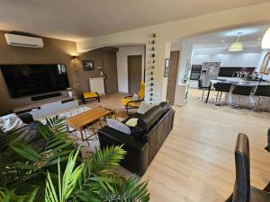 Μια τηλεόραση ή/και κέντρο ψυχαγωγίας στο Villa piscine climatisée à Opio