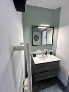 une salle de bains avec un lavabo et un miroir dans l'établissement Le cosy charmeur Climatisé avec patio, à Tours