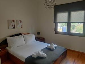 Gallery image of Lakeside Apartment in Ioannina