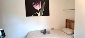Un pat sau paturi într-o cameră la Hideaway Apartment nr. Zipworld
