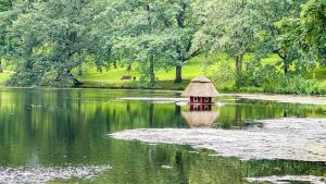 a small house in the middle of a lake at Business Apartment Altstadt in Bremen