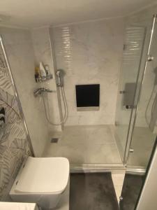 a bathroom with a shower and a toilet and a television at Apartment Elias Polychrono in Polychrono +23 photos